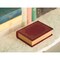 Vintiquewise Decorative Vintage Book Shaped Trinket Storage Box - Red QI003691.P - alternate 4